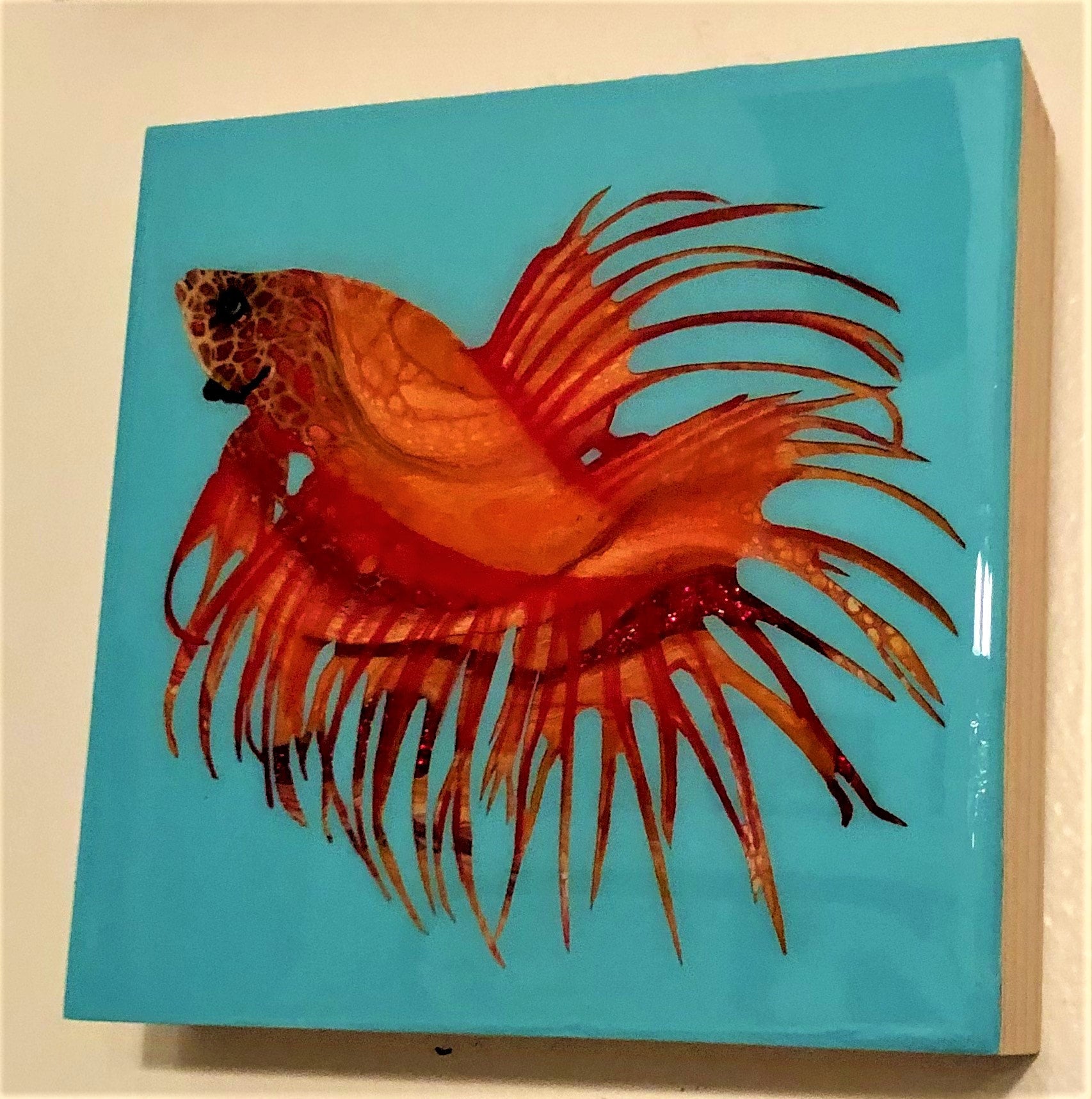 Orange sales betta fish